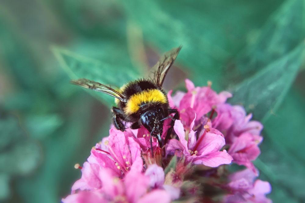 Photograph by Татьяна Колесникова