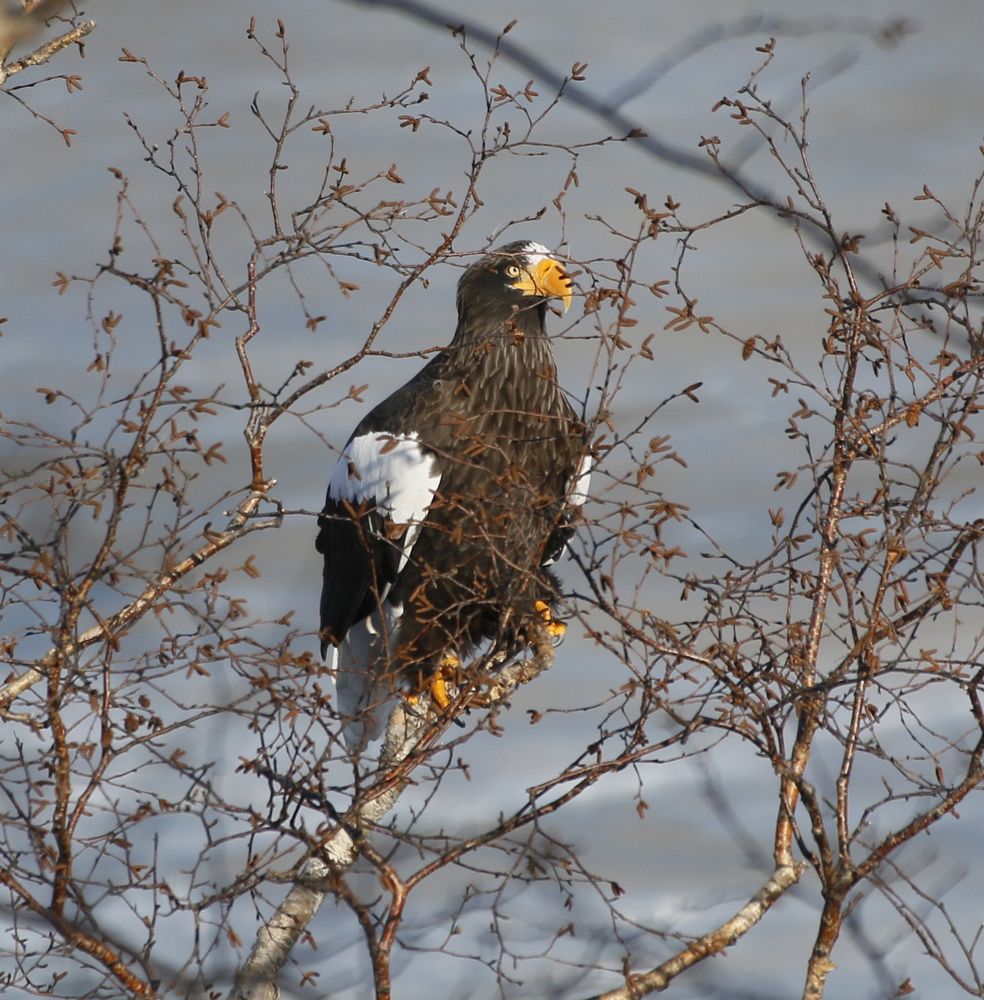 Photograph by Наталья Турчик