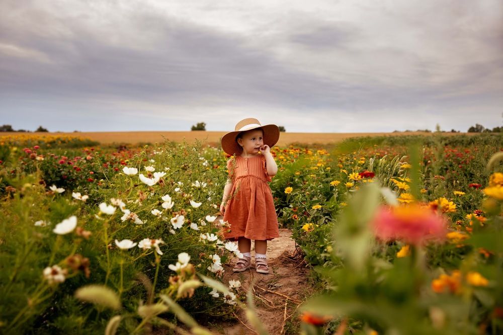 Photograph by Elena Hasnas