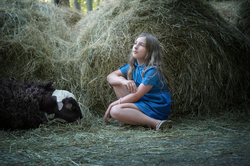 Фотография автора Елена Матросова