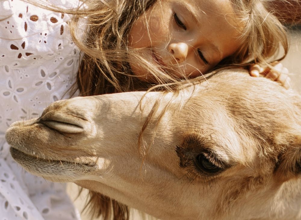 Photograph by Екатерина Сысоева