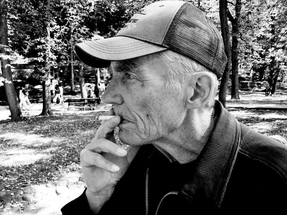 Портрет коллеги - литератора