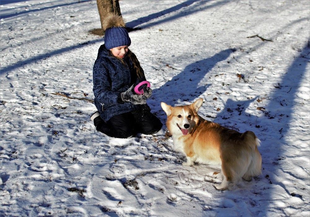 Фотография автора Альбина Хвастунова