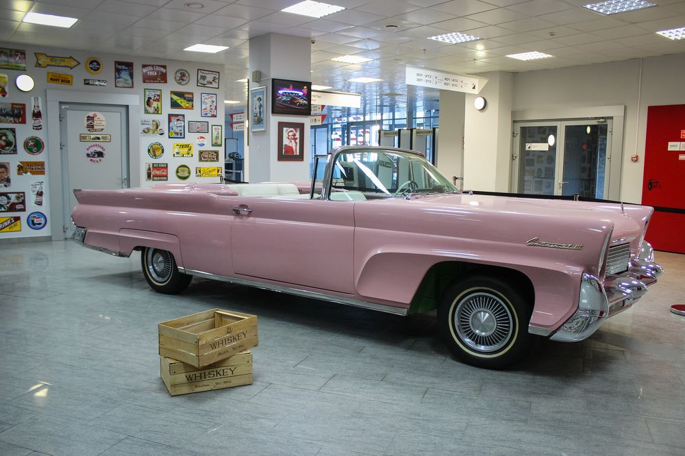 Photograph by iulia falo