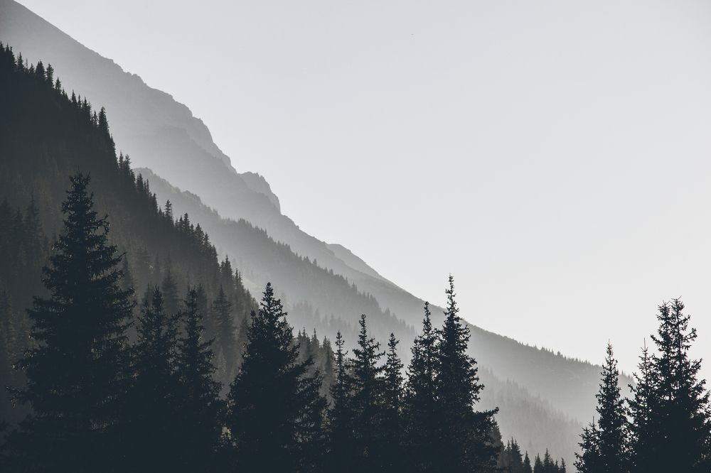 Photograph by Родионова Ксения