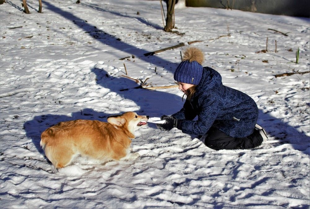 Фотография автора Альбина Хвастунова