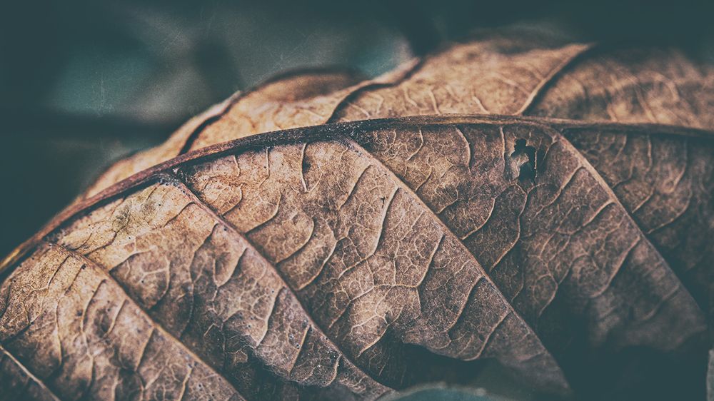 Photograph by Галина Полищук