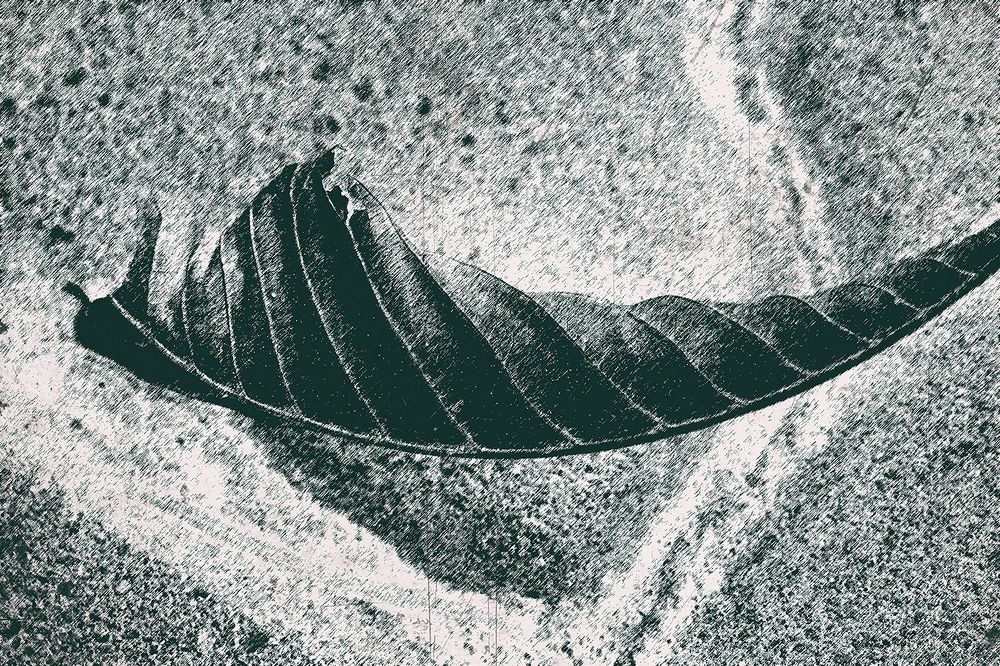 Колыбель осени