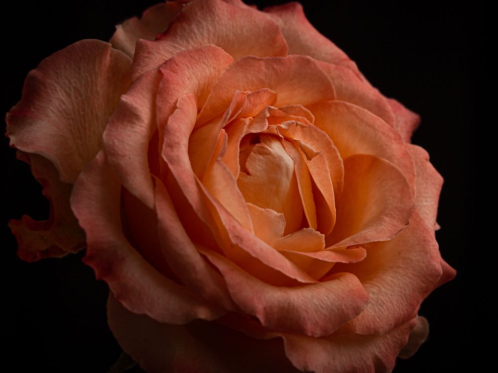 Photograph by Галина Полищук