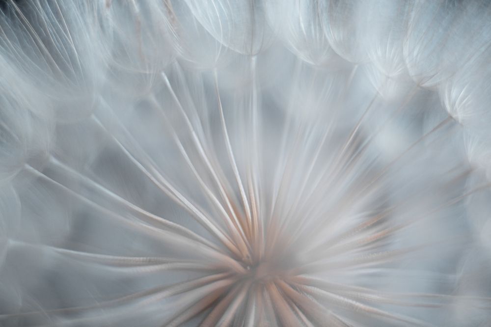 Photograph by Галина Полищук