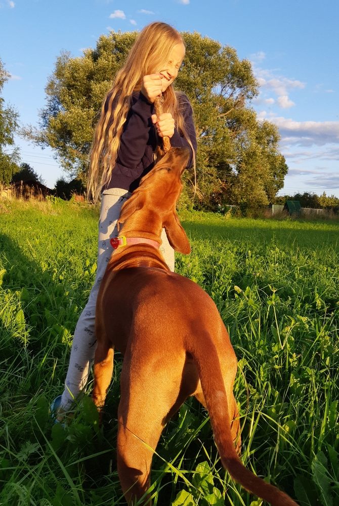 Photograph by Ольга Хромова