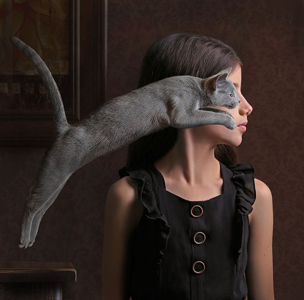 Фотография автора Alexander Sviridov