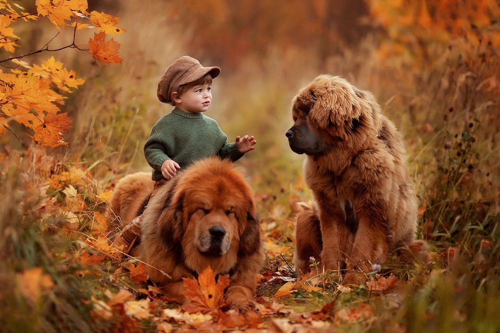 Фотография автора Маргарита Черкасова