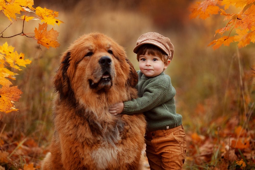 Photograph by Маргарита Черкасова