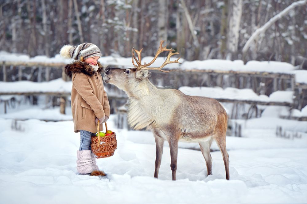 Фотография автора Ольга Лазурко