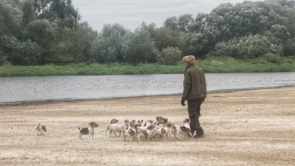 Николина гора. \"Человек собаке  друг \"