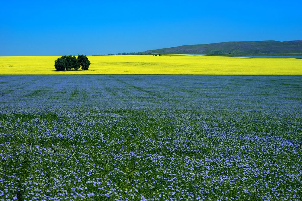Photograph by Андрей Хаймин