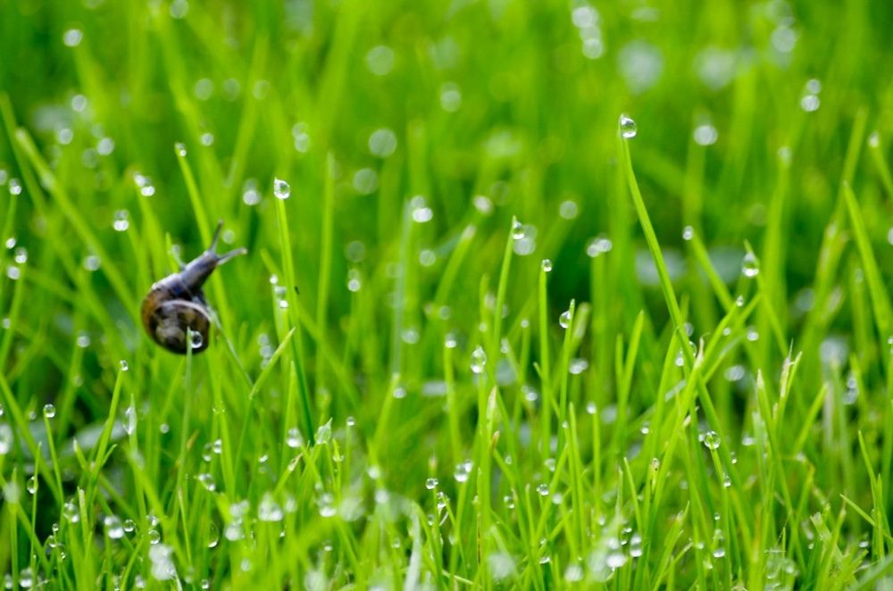 Photograph by игорь герасимовский