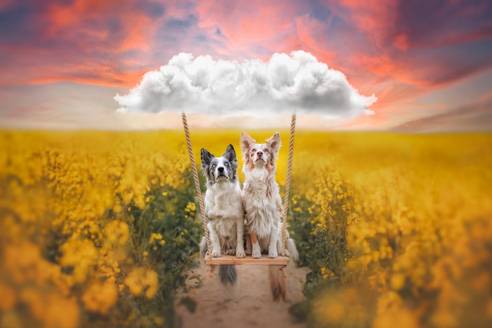 Photograph by Ve Shandor