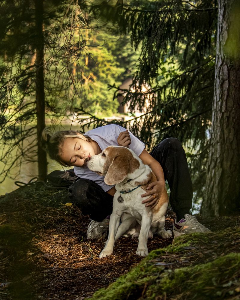 Понимание...