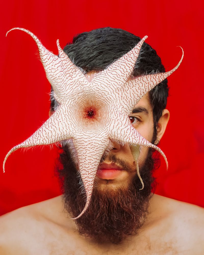 Photograph by Jonathan Dourado