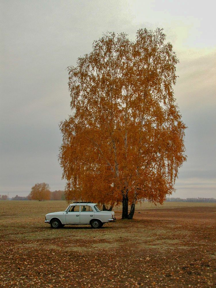 Photograph by Александр Карпенко
