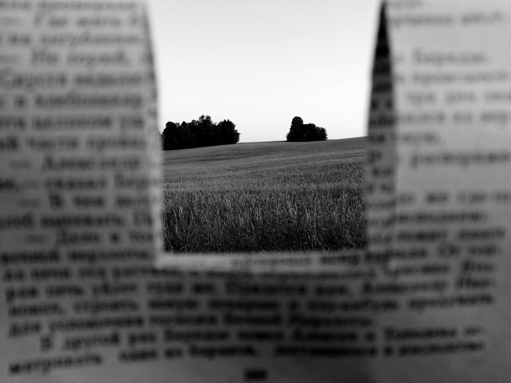 Photograph by Лиля Богатова