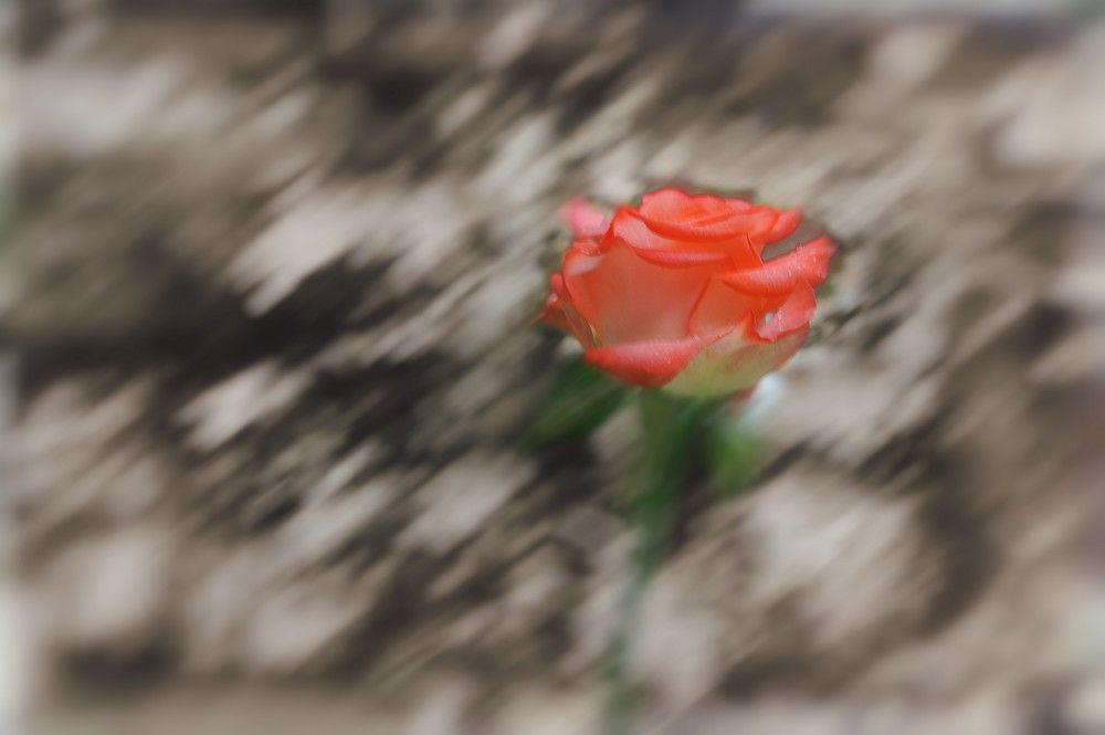 Photograph by Марк
