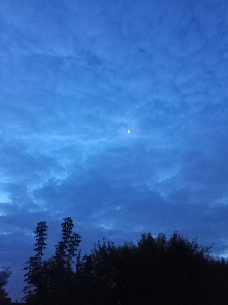 Photo #6504154