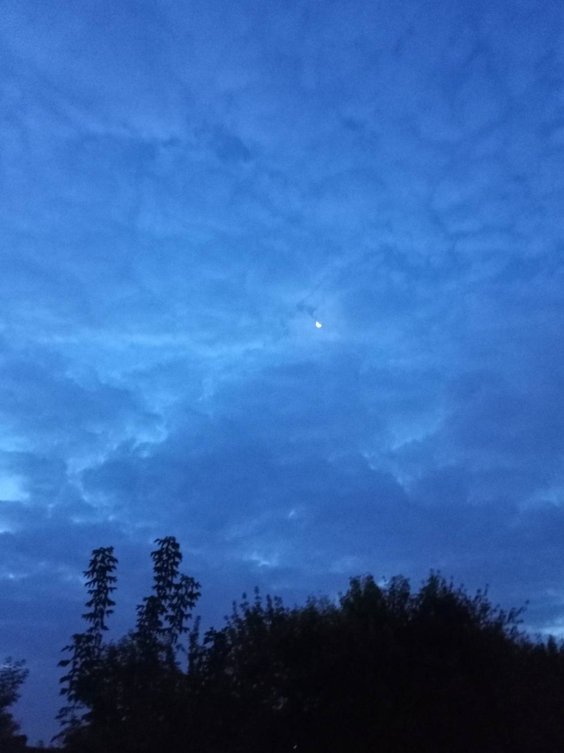 Photo #6504154
