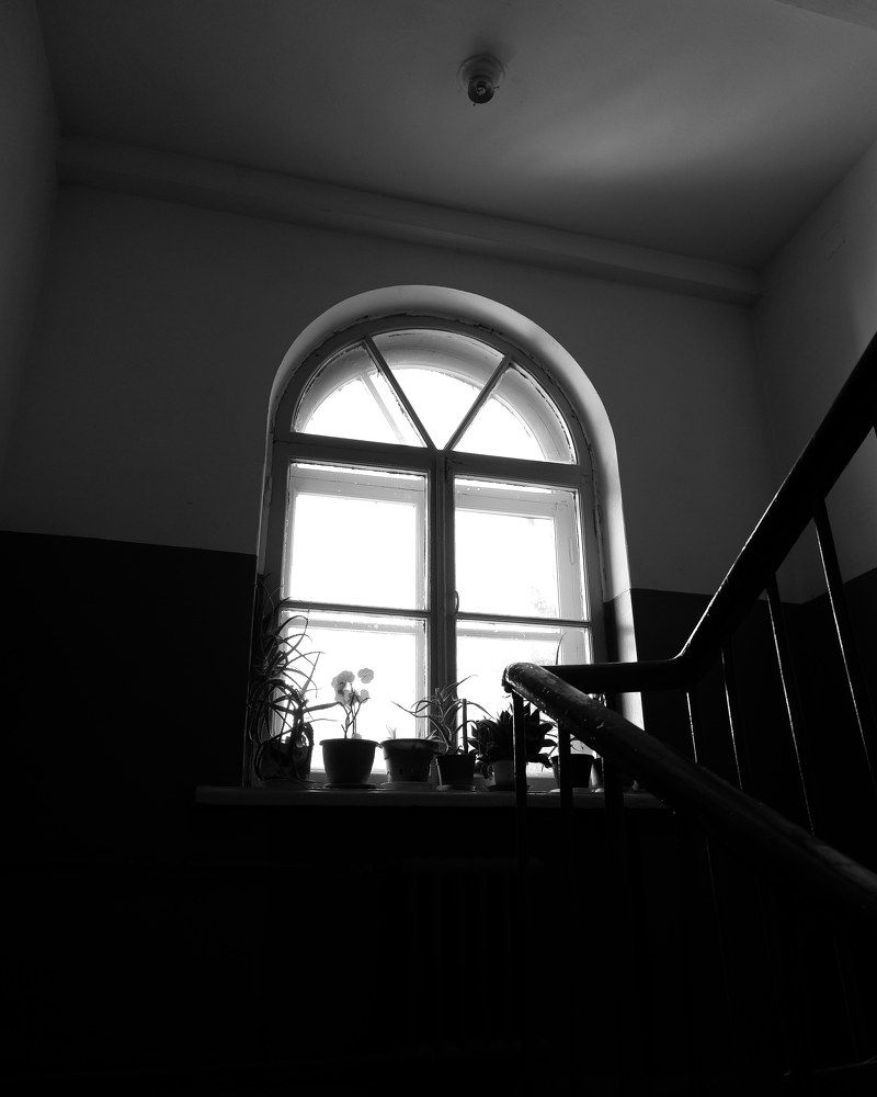 Photograph by Sasha