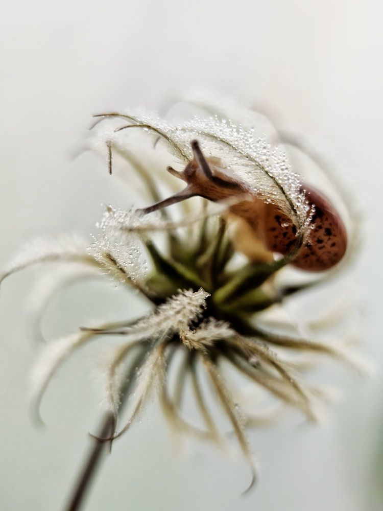 Photograph by Светлана Смирнова