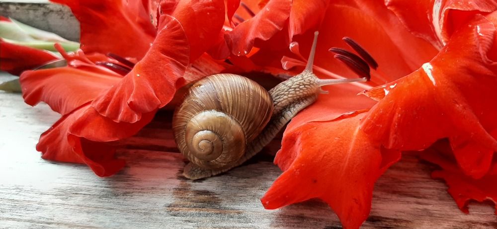 Photograph by Марийона Савоненко