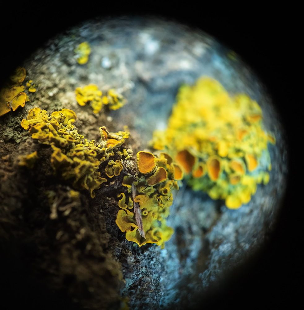 Тайна третьей планеты.