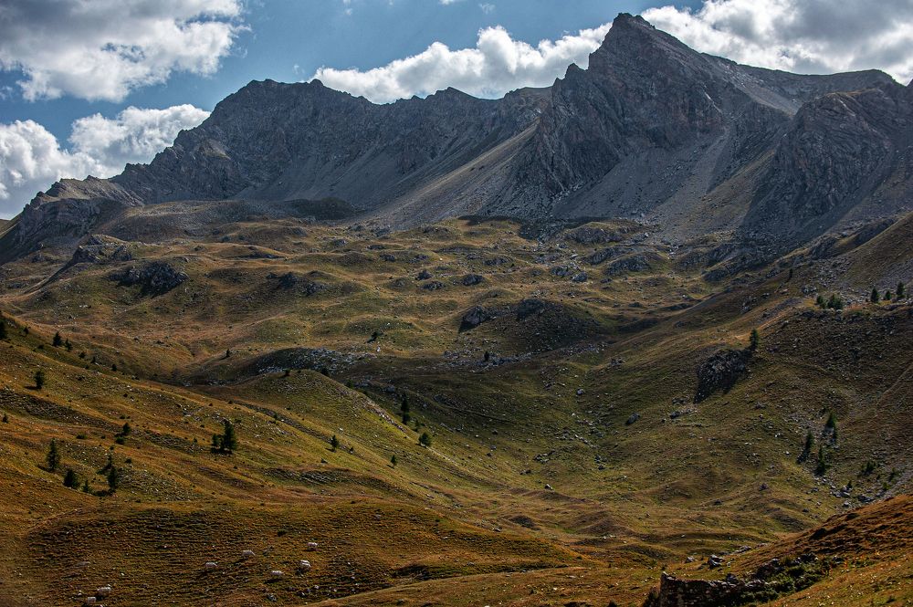 Photograph by Gabriella Bergna