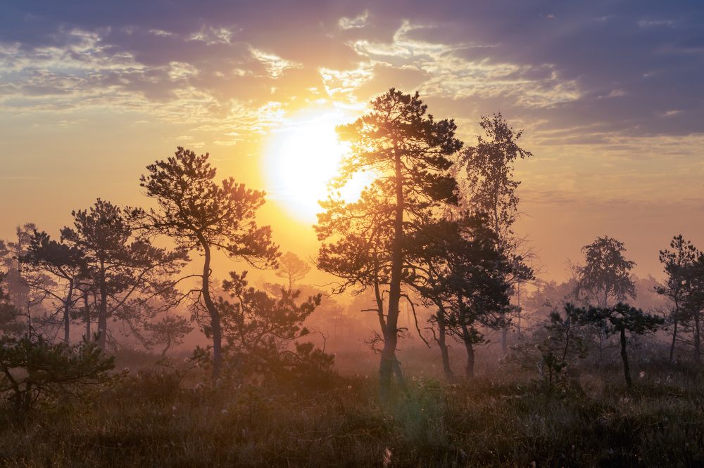 Photograph by Антон Парфентьев