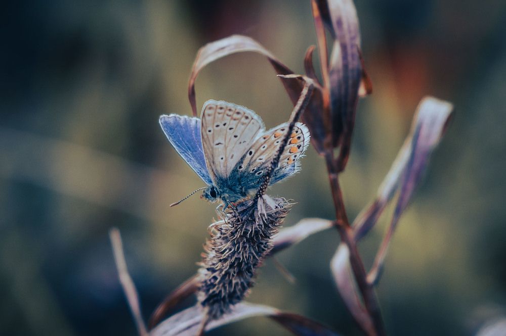 Photograph by Александр Ендин