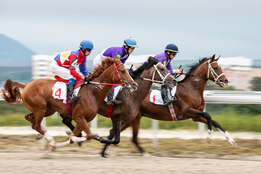 Фотография автора Zakharov Armen