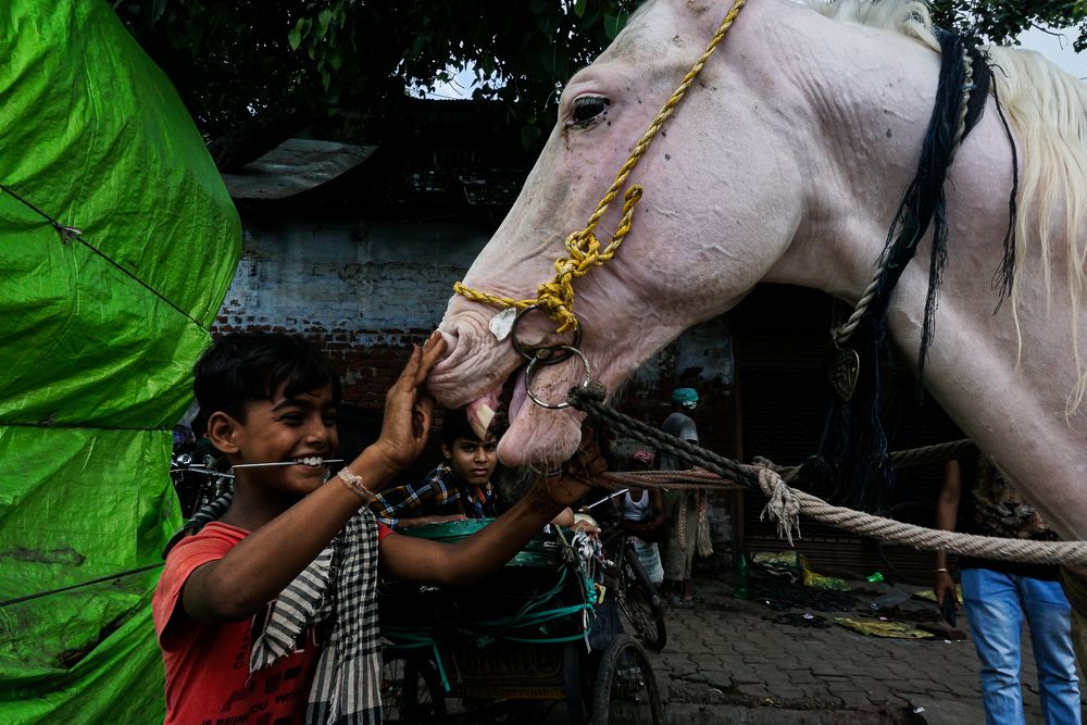 Photograph by Ashish patel