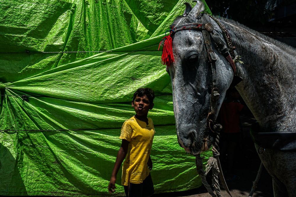 Photograph by Ashish patel