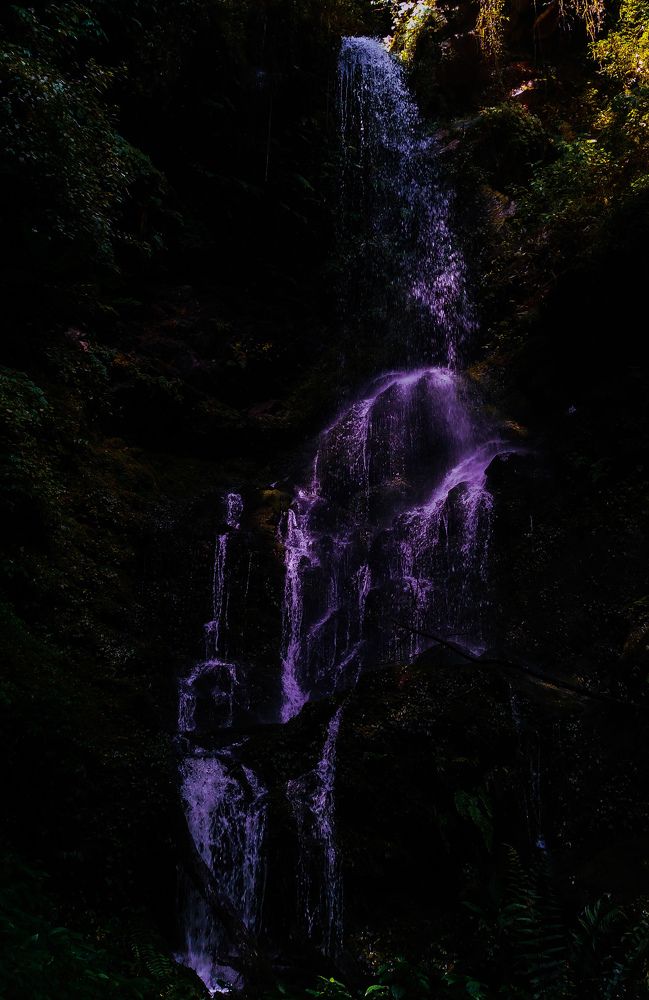 Photograph by Pema Wangchuk