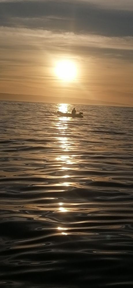 Photo #6504787