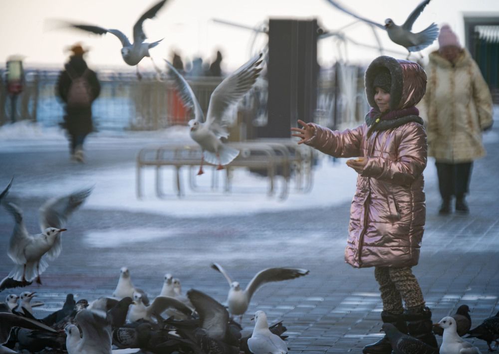 Photograph by Владислав Шаповалов