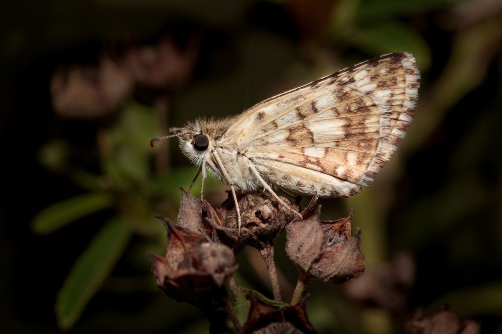 Photograph by MARÍA CECILIA REY