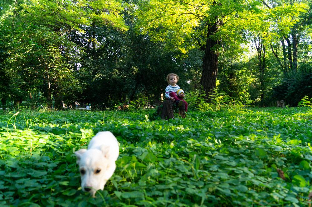 Photograph by Vlad Proshin