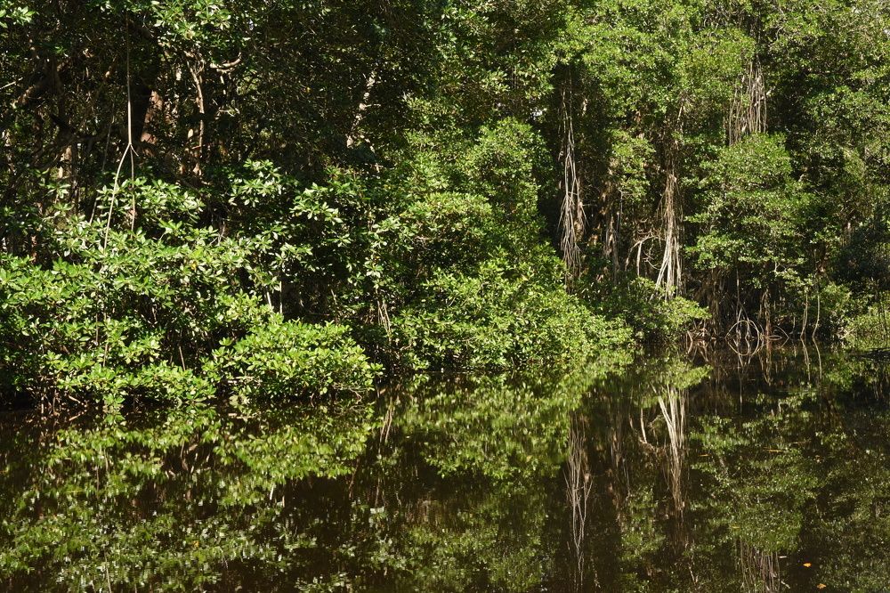 Photograph by Félix Coutiño