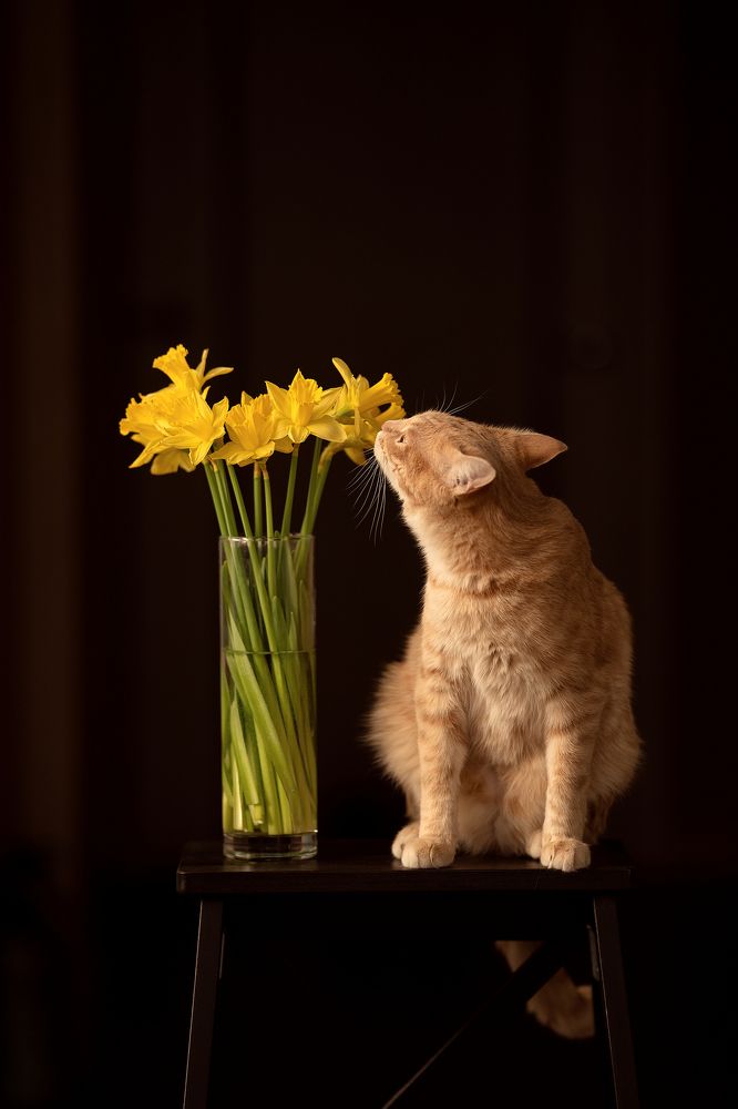 аромат весны