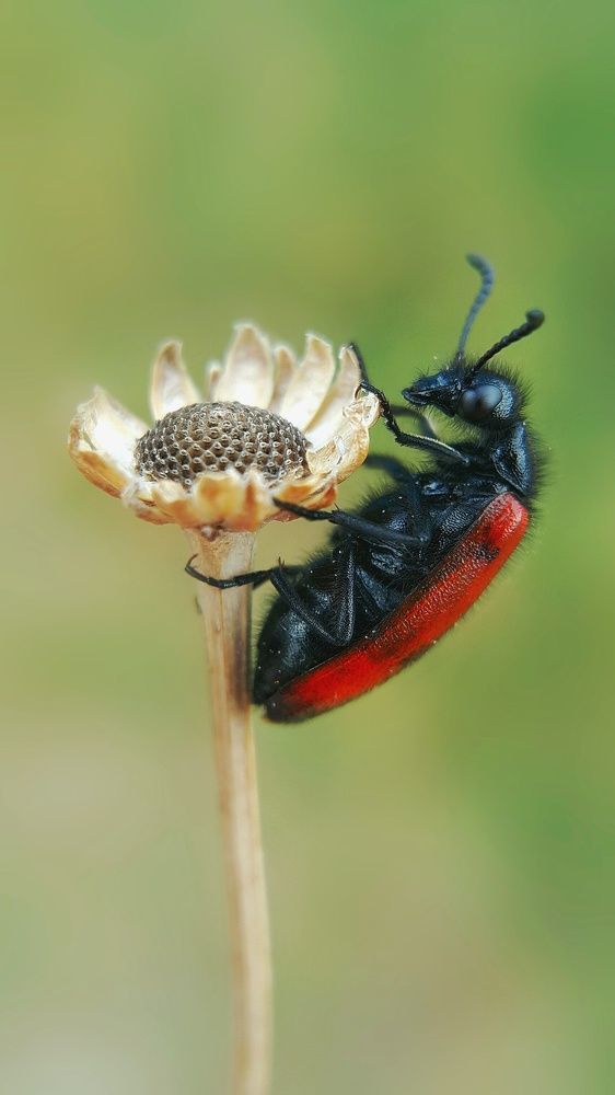 Photograph by Hosean Nasiri