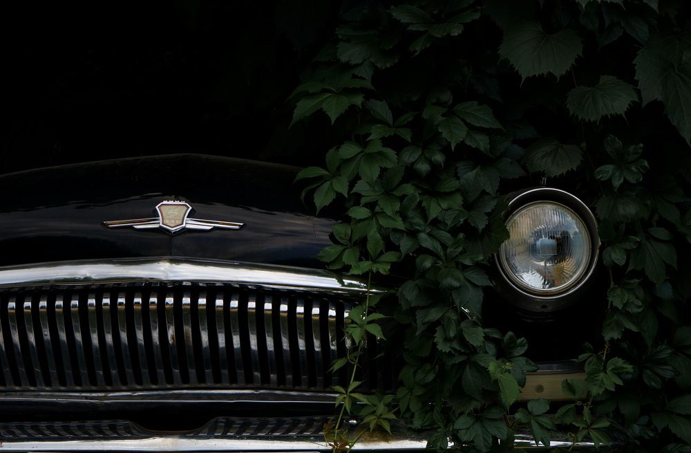 Photograph by Ирина Ксензова