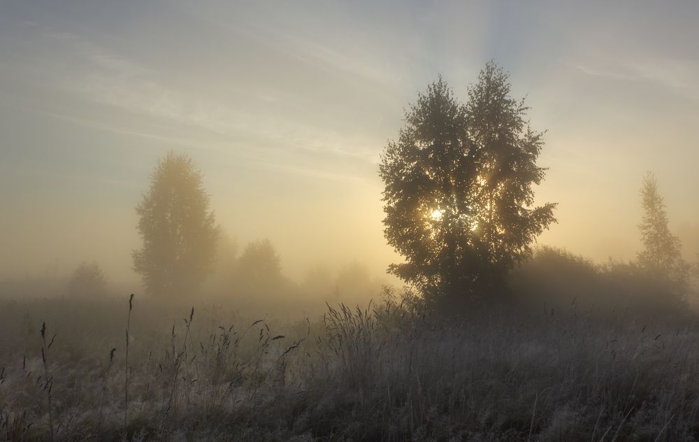 Фотография автора Ольга Бонина